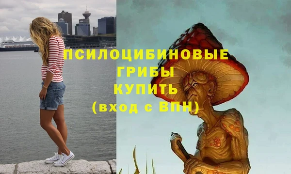 прущие крисы Алексеевка